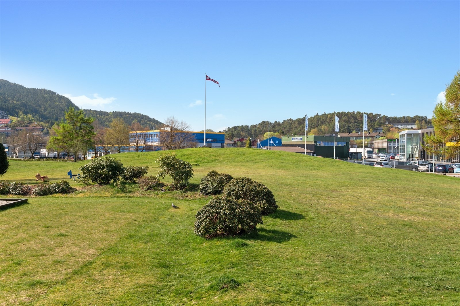 Område Galleribilde