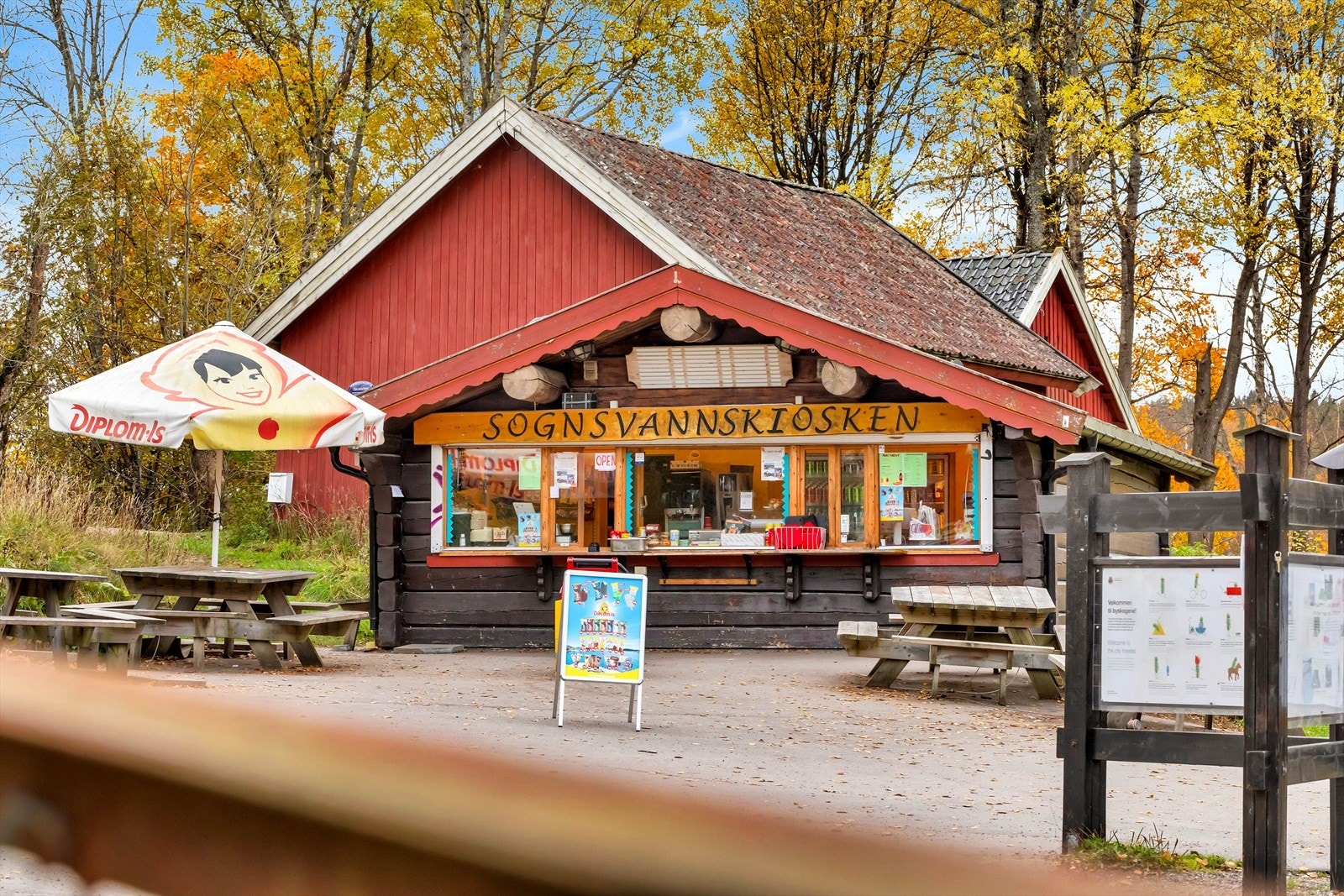 Sognsvann er et populært sted om sommeren med gode bade- og tur muligheter Galleribilde