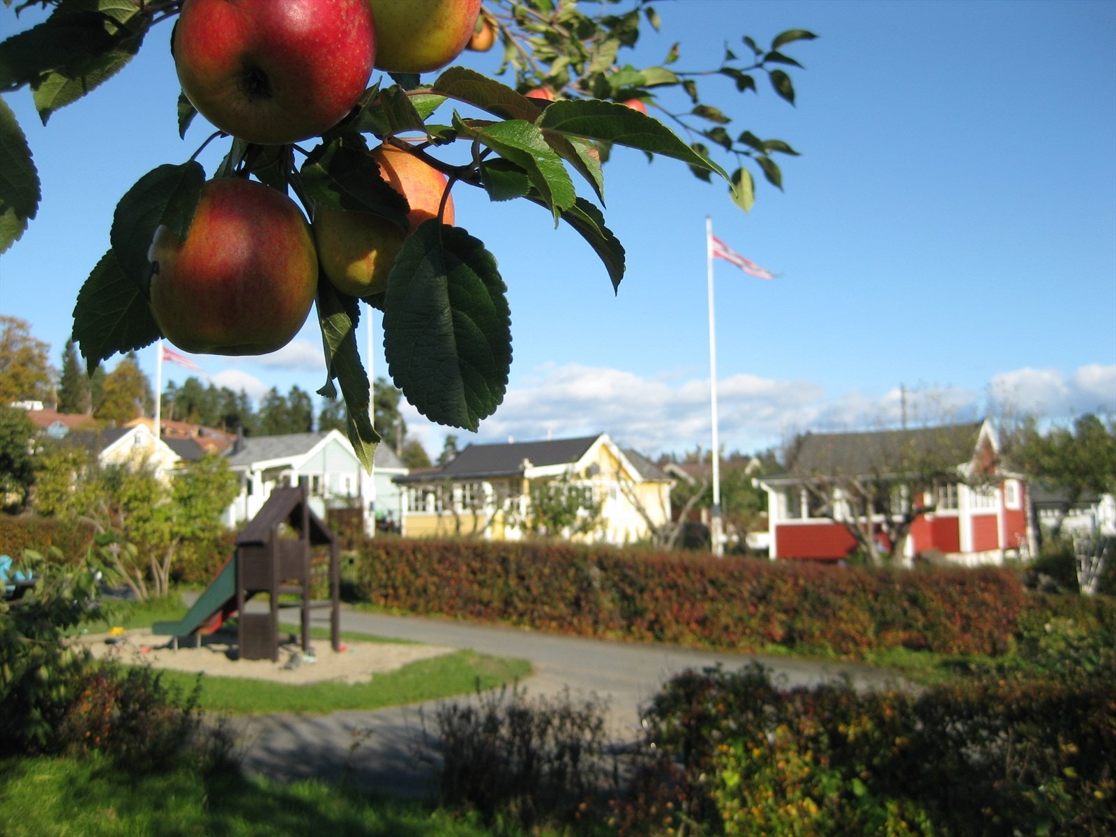 Solvang hagekoloni er et vakkert område å gå tur i, og ligger i umiddelbar nærhet Galleribilde