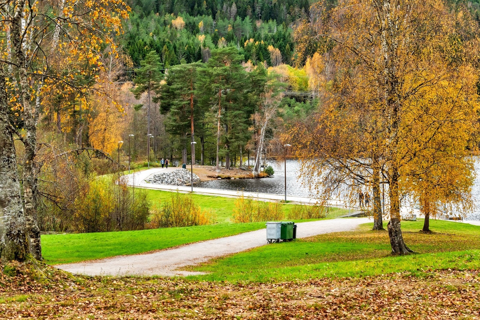 Fra boligen er det kort gangavstand til marka med flotte turstier Galleribilde