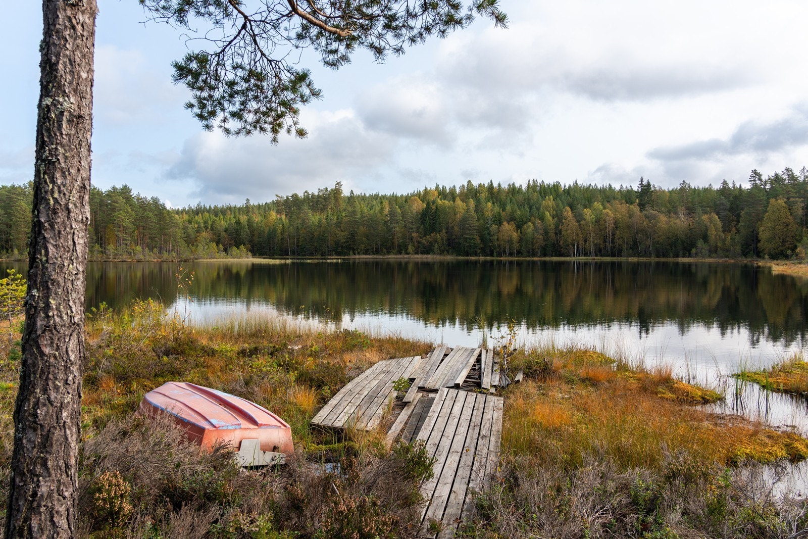Gode båt- og fiskemuligheter i tjernet. Galleribilde