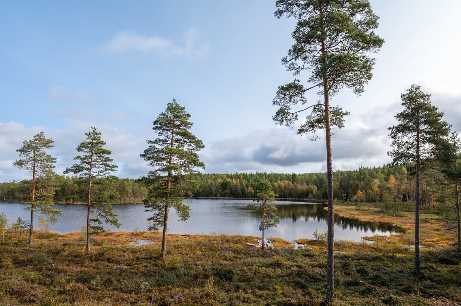 Fantastisk utsikt over tjernet. Eiendommen er på over 126 da og består bla av fine skogsområder. Galleribilde