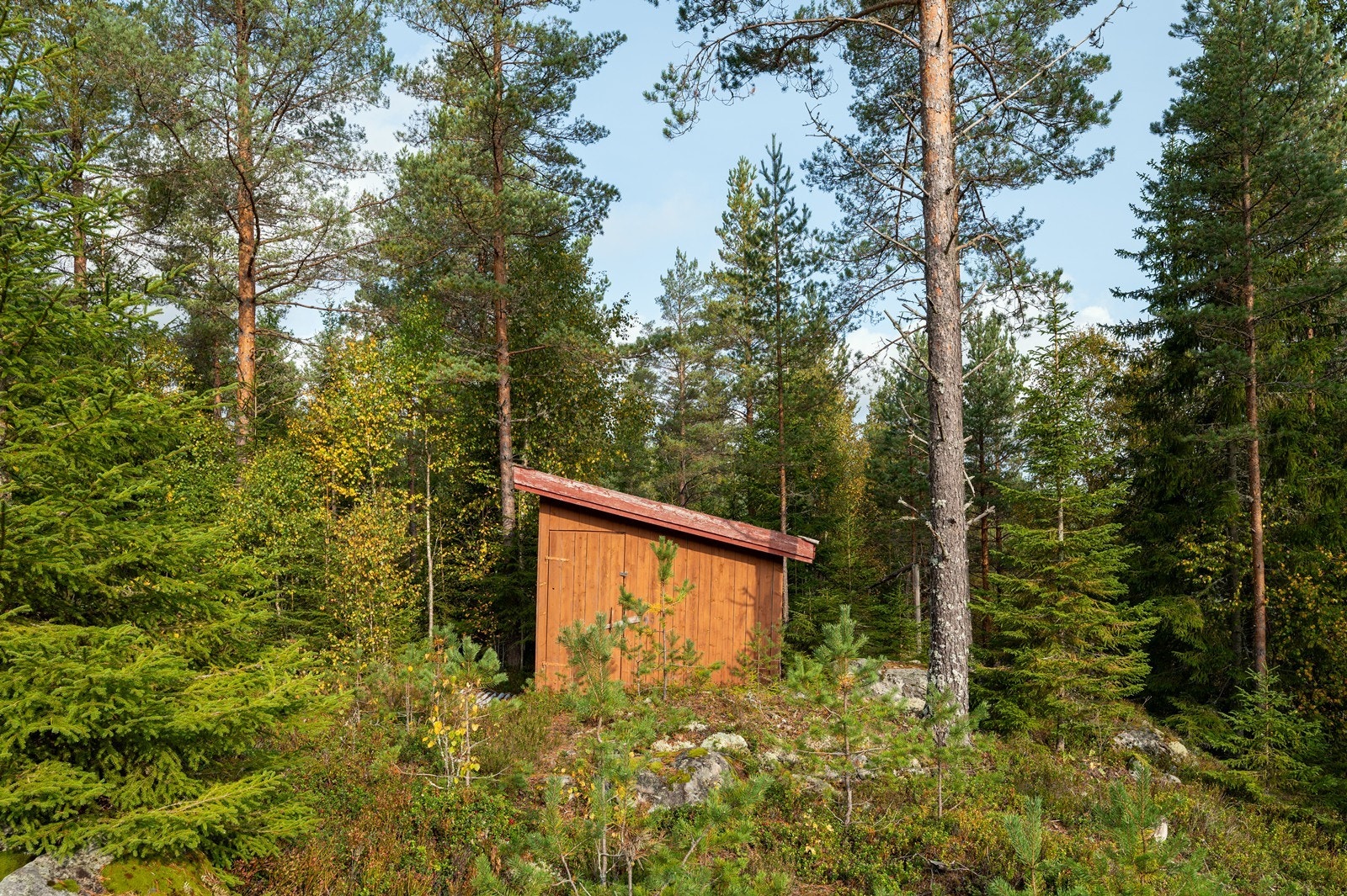 Uthus på ca. 10 kvm med utedo. Galleribilde