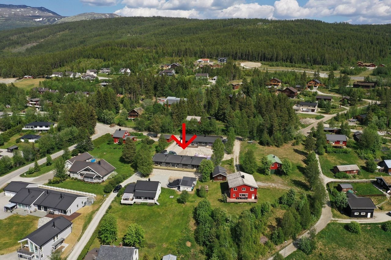 Drone sommer. Fagerhøy ligger i et etablert boligområde. Galleribilde