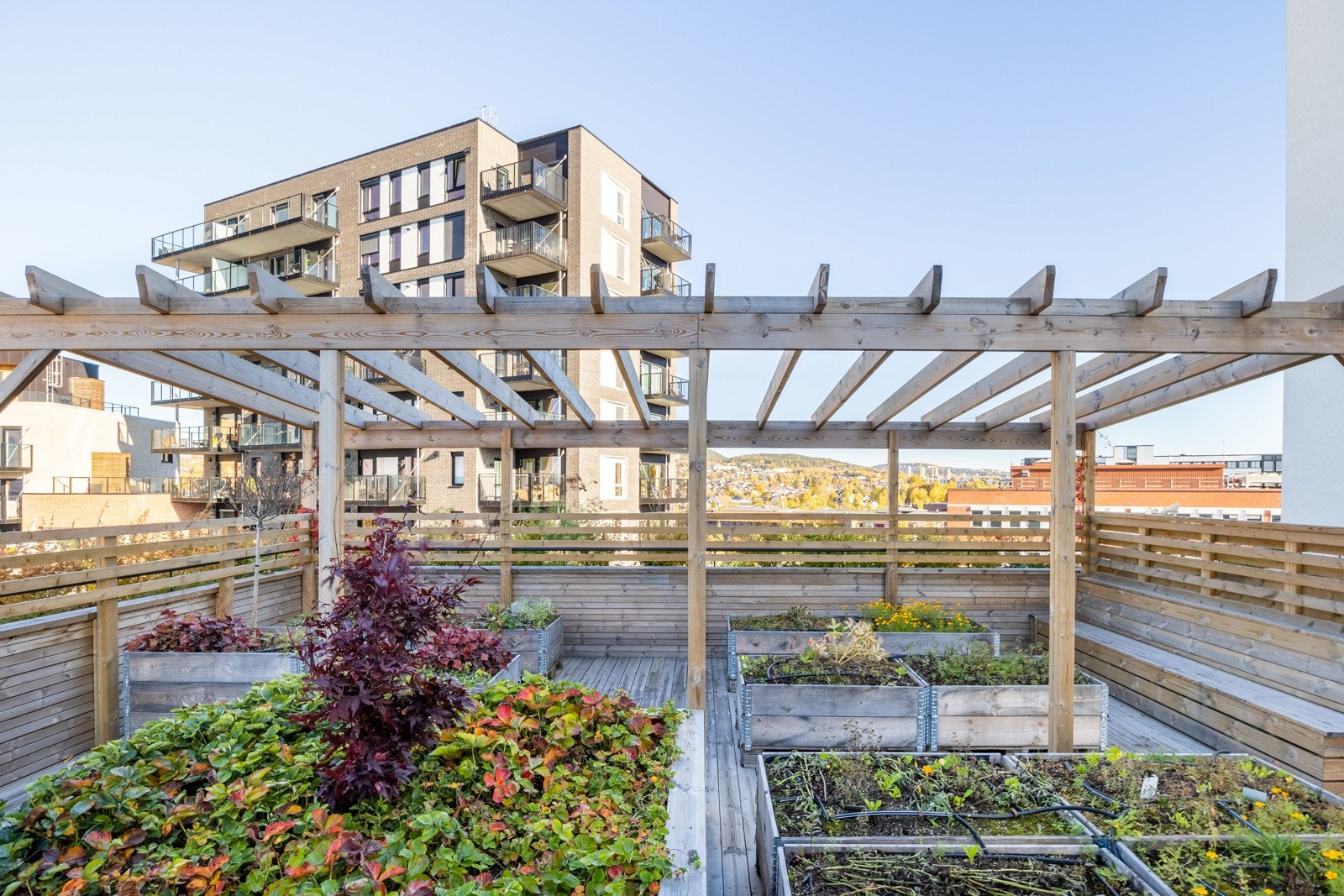 Leiligheten har tilgang til fire felles takterrasser! Galleribilde