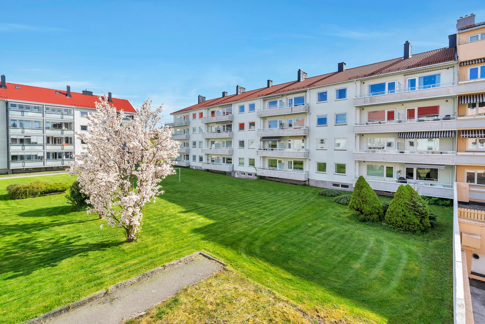 Flott fellesområde. Galleribilde