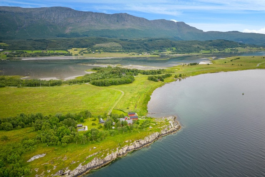 Deler av Skogsøya - mange fine badeplasser i nærheten Galleribilde