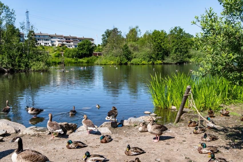 Kort vei til Østensjøvannet med flotte turmuligheter. Galleribilde