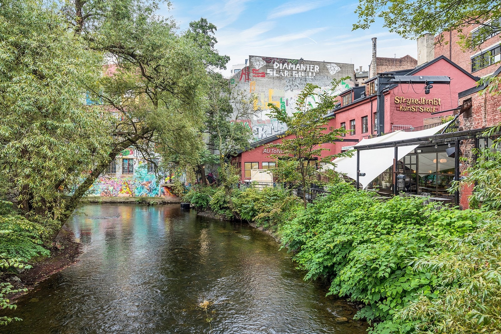 - Nærområdet - Galleribilde