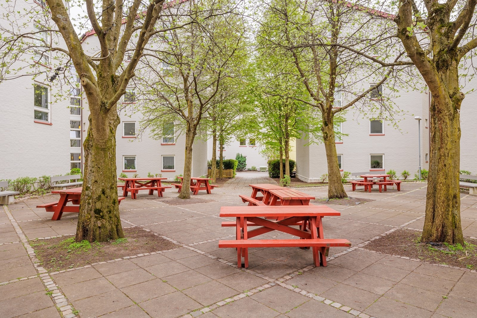 - Fellesområde - Galleribilde