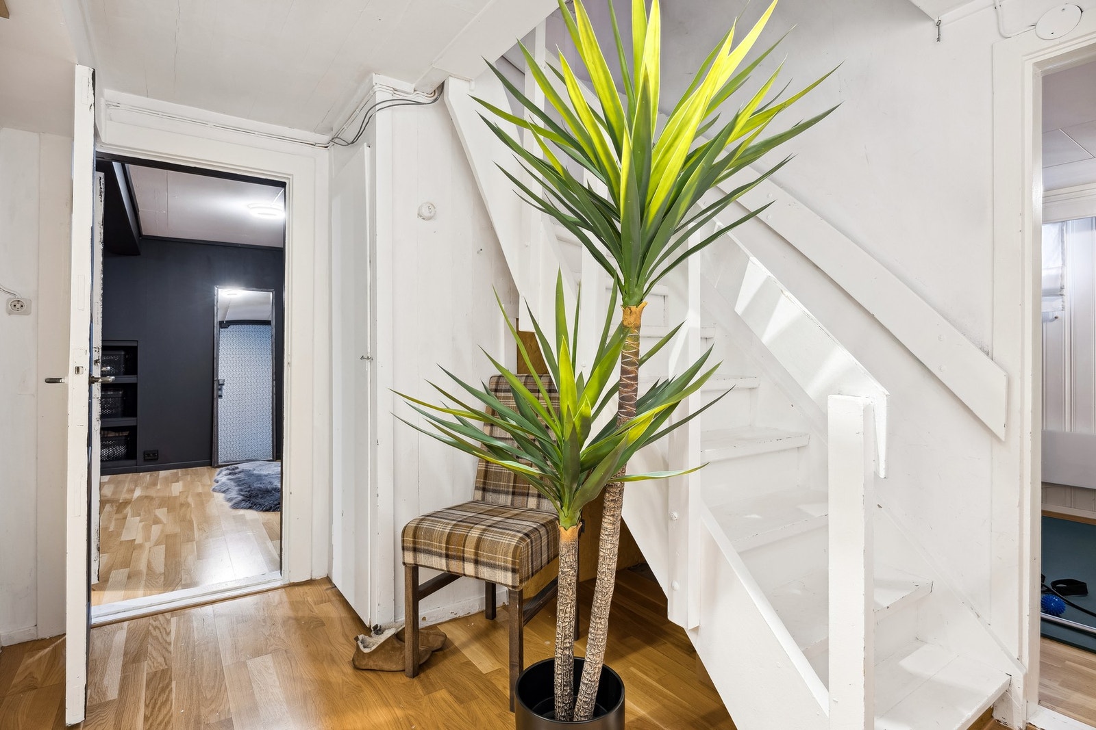 Kjellergang Galleribilde