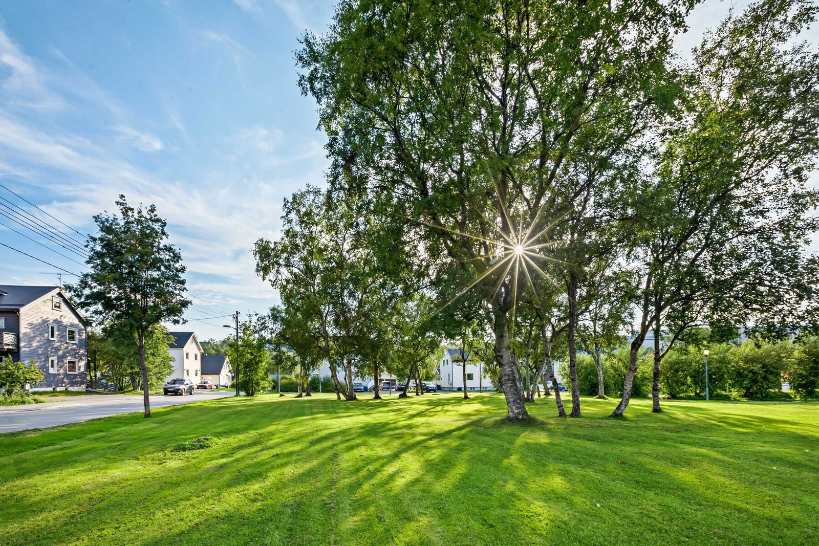 Savioparken ligger i kort avstand fra boligen Galleribilde