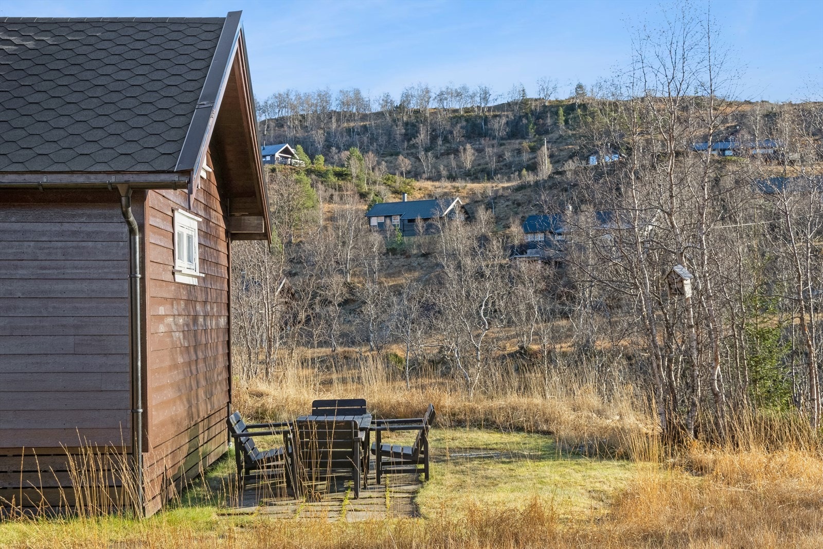 Flott natur og turområder ved hytten. Galleribilde