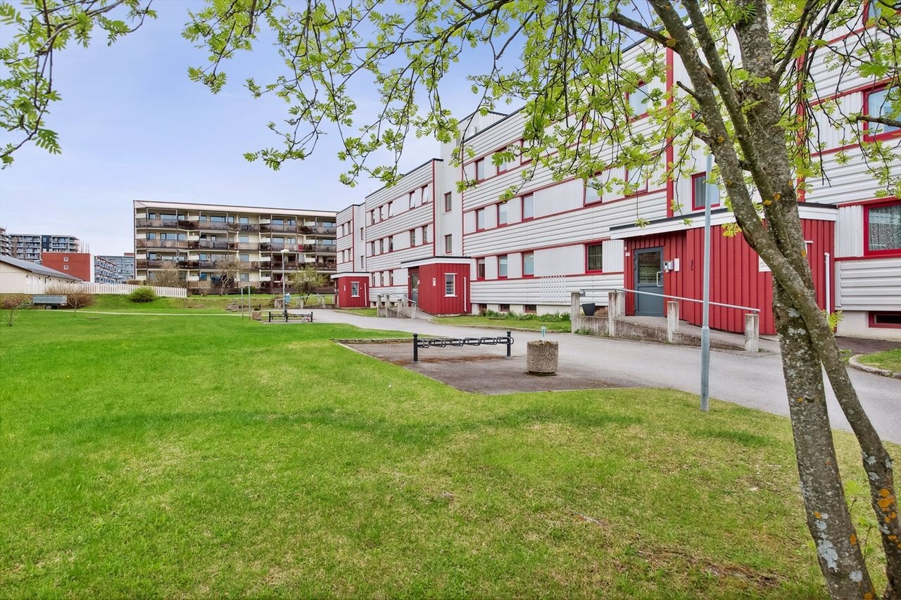 Velkommen til visning! Galleribilde
