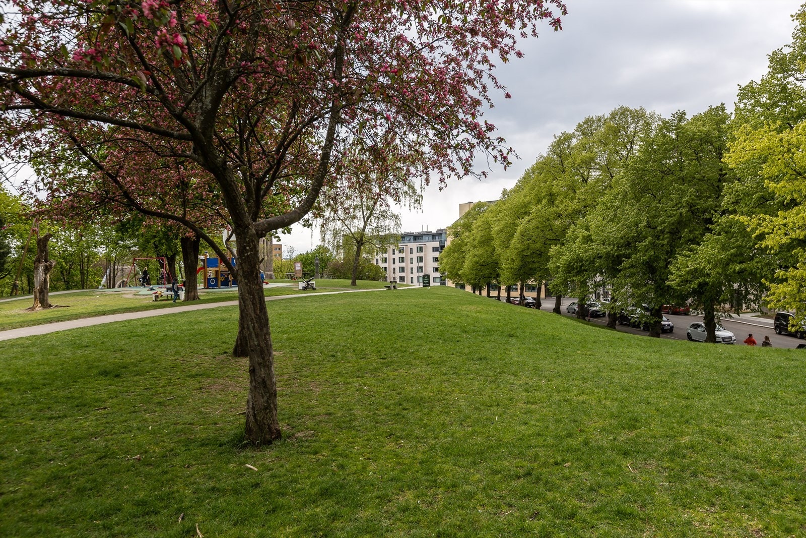 Stensparken Galleribilde