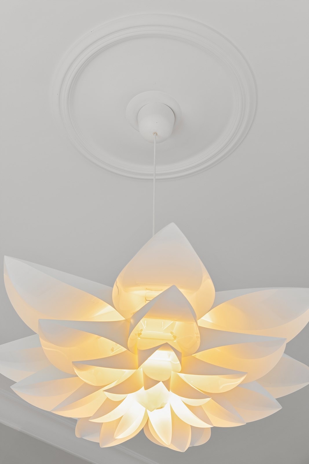 Stukkatur i taket Galleribilde