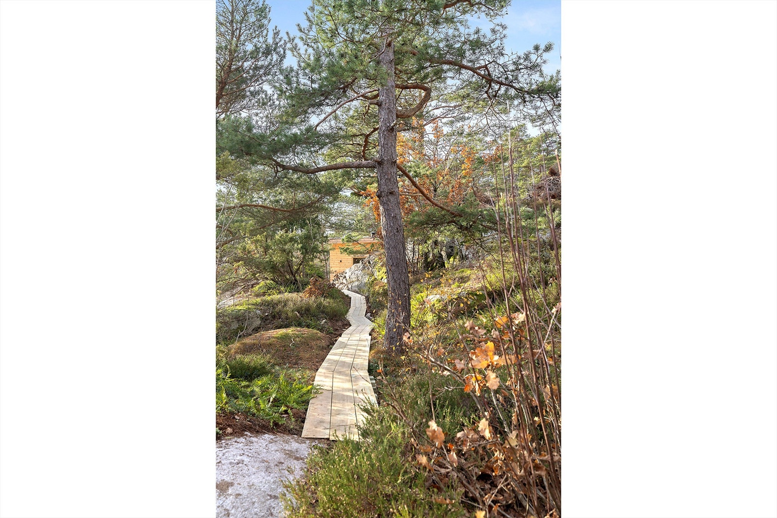 Adkomst på "sti" Galleribilde