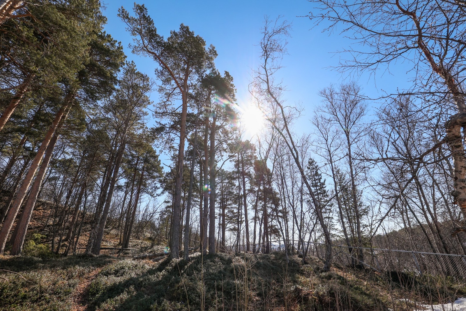 Det er nærhet til både Skogvannet og Olavbakken med en populær akebakke med gapahuk og grillplass. Galleribilde
