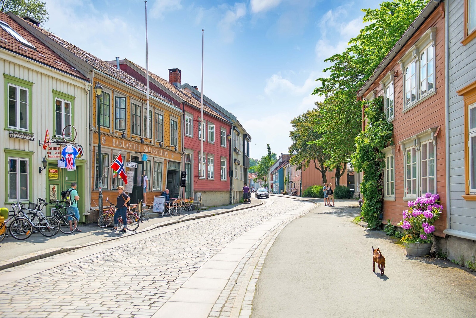 Idylliske Bakklandet med koselige kaféer og restauranter ligger kort gange unna. Galleribilde