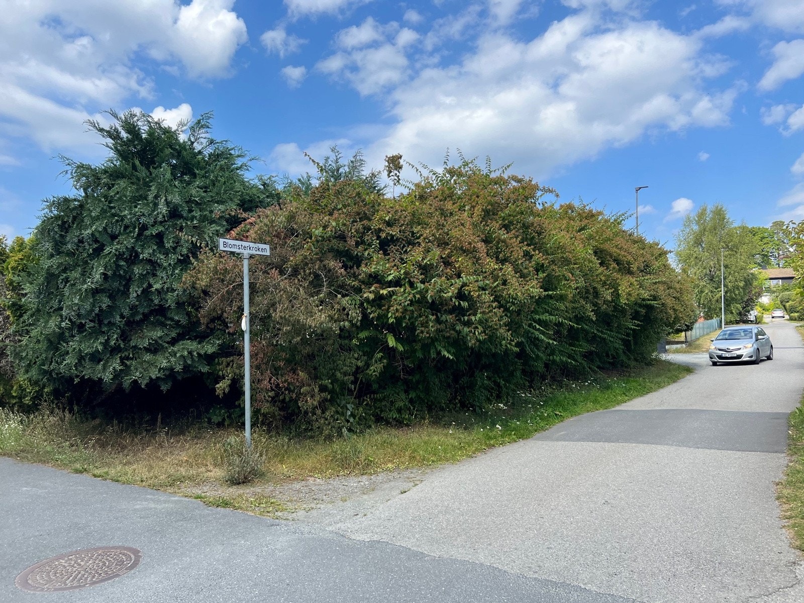 Området er svært barnevennlig med minimalt trafikk, og det er således en særs trygg skolevei til Refsnes skole. Galleribilde