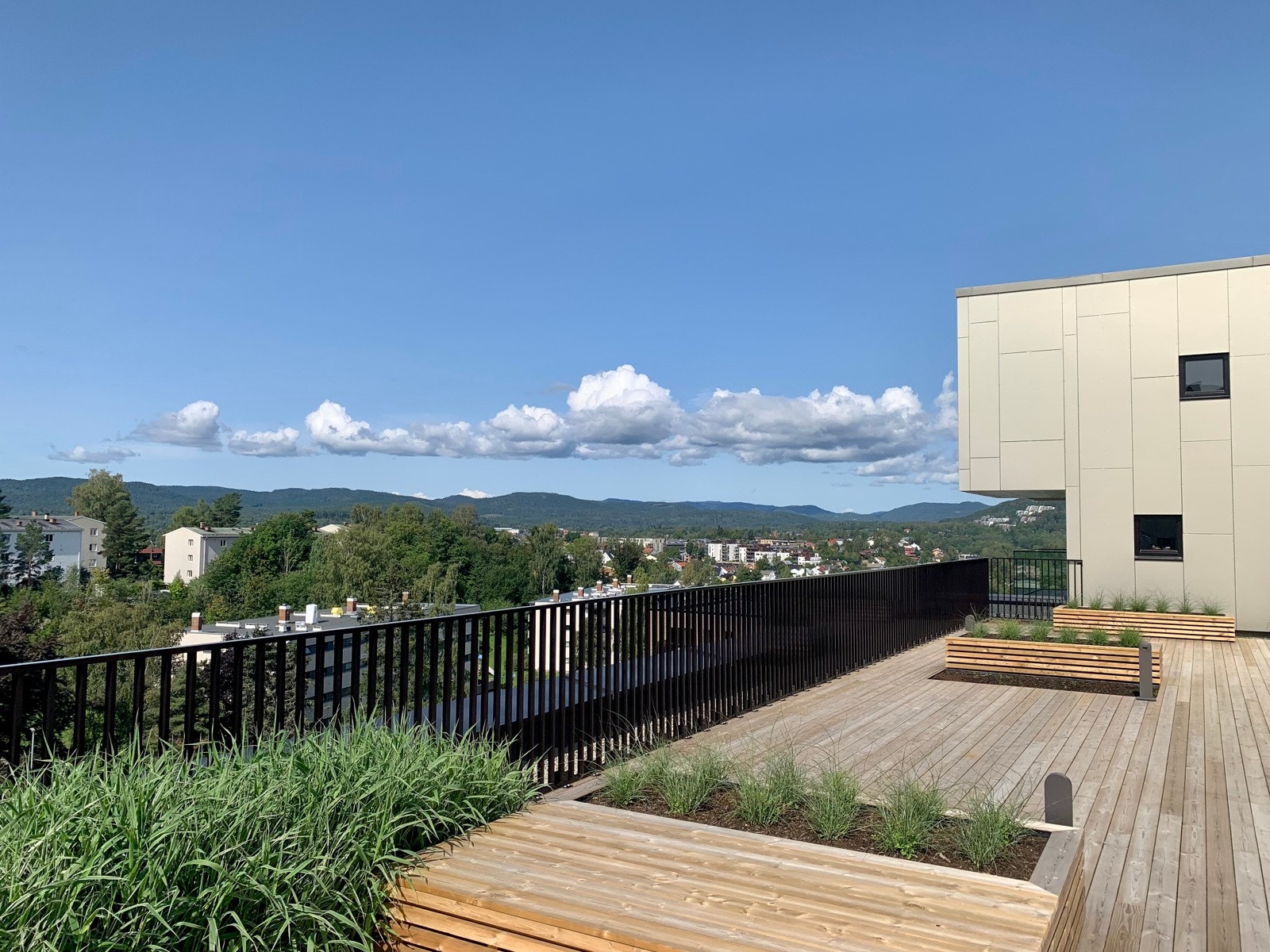 IMG_3604 Galleribilde