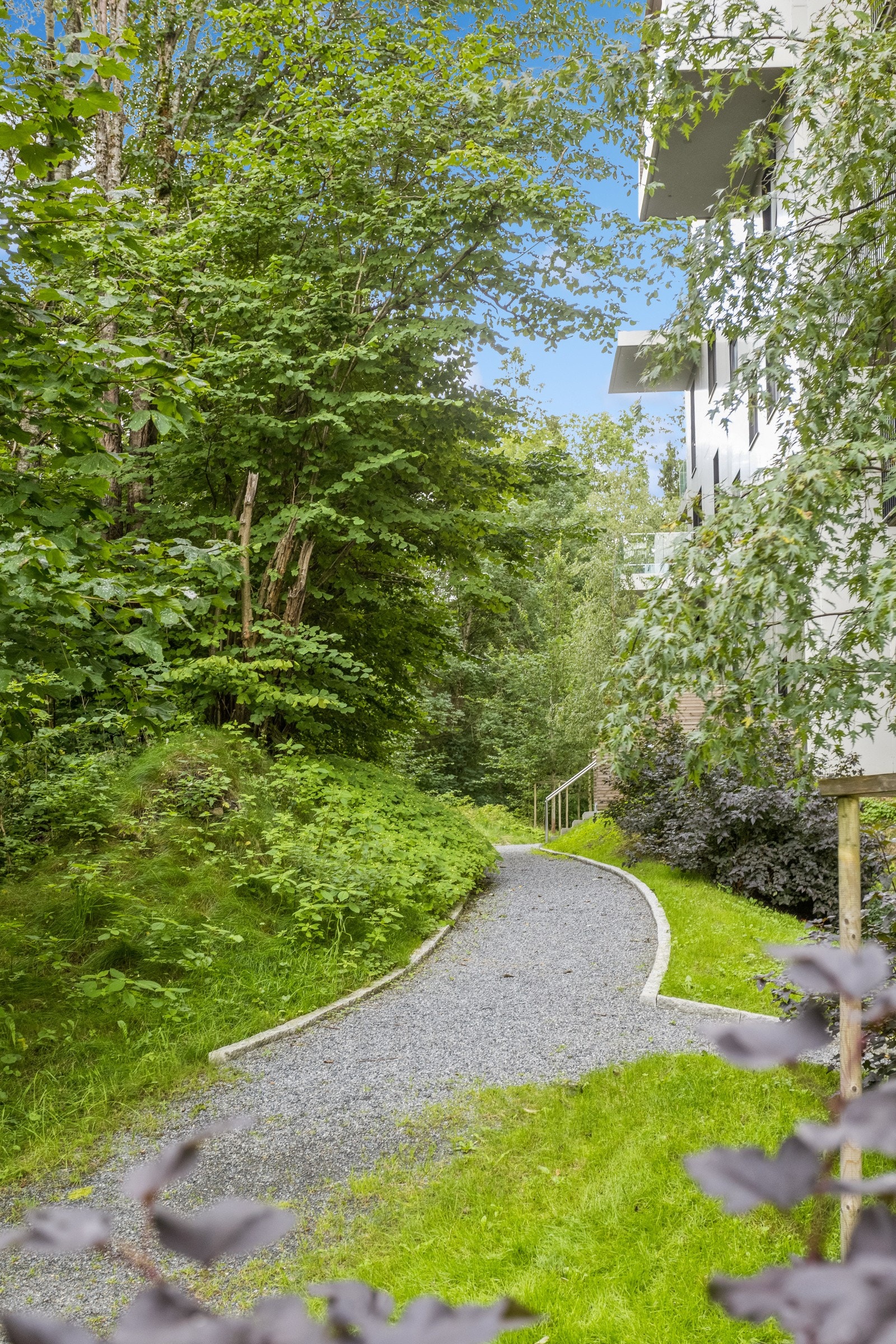 Stien meklom blokk og Mærradalen Galleribilde