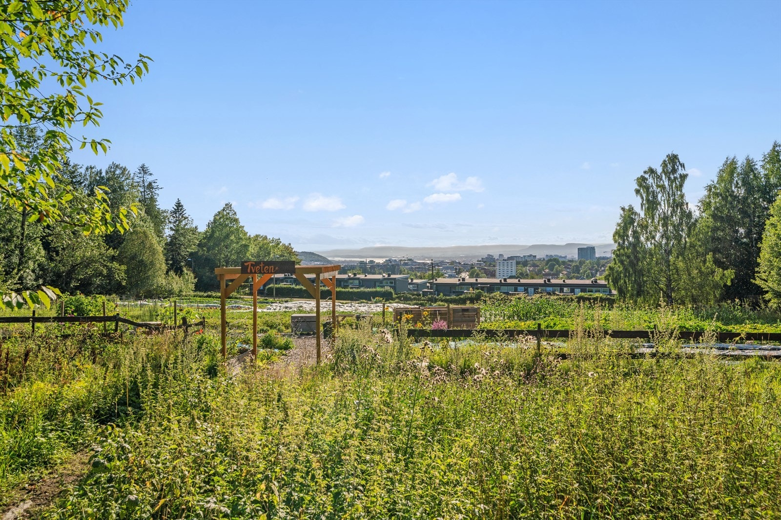 Tveten gård er det best bevarte gårdstunet innenfor Oslos grenser. Her arrangeres det flere aktiviteter man kan være med på. Galleribilde