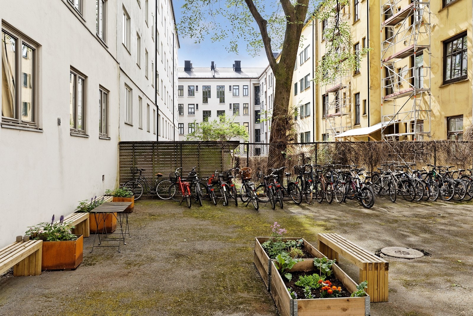 Hyggelig gårdsrom med sykkelparkering og sittebenker. Galleribilde