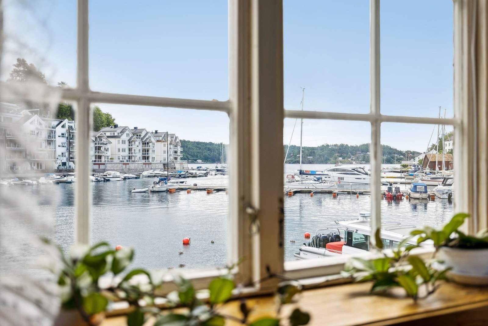Flott utsikt fra stuevindu utover tvedestrandsfjorden Galleribilde