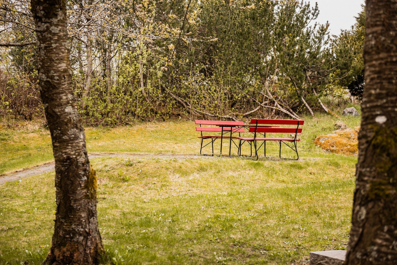 Variert beplantning og idylliske grønne lunger. Galleribilde