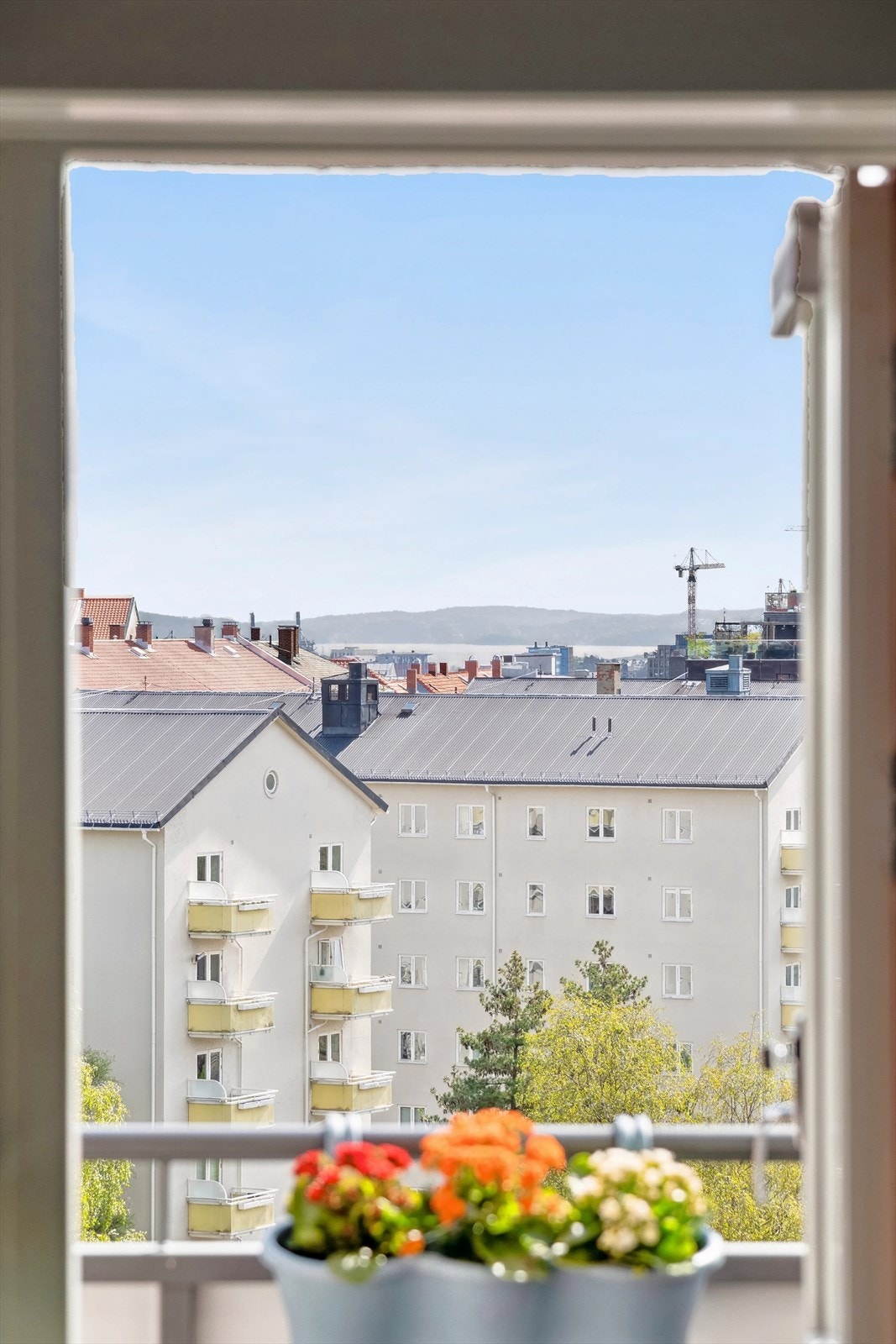 Fra stuen å balkongen er det fjorgløtt Galleribilde