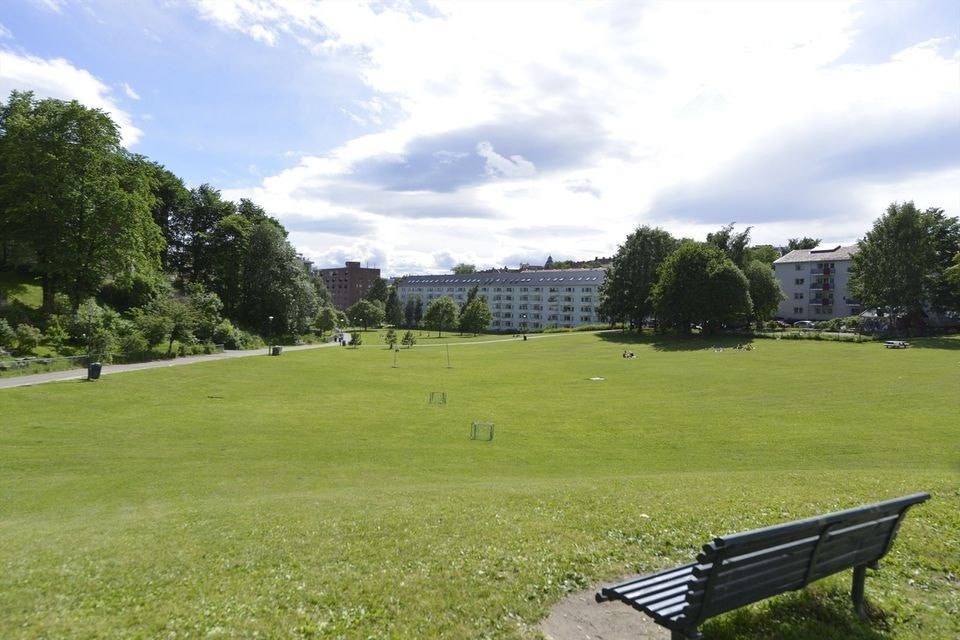 Iladalen som nærmeste nabo Galleribilde