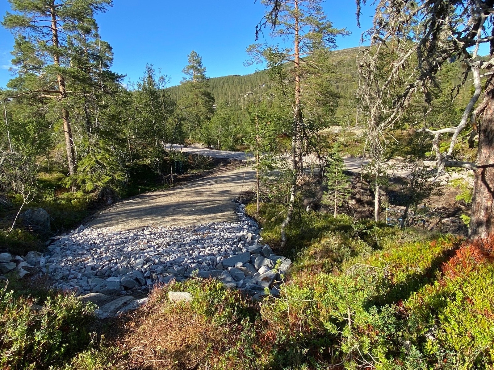 Opparbeidet innkjøring til tomtegrense. Blindvei til høyre som går over i regulert turvei til Trillemarka Galleribilde