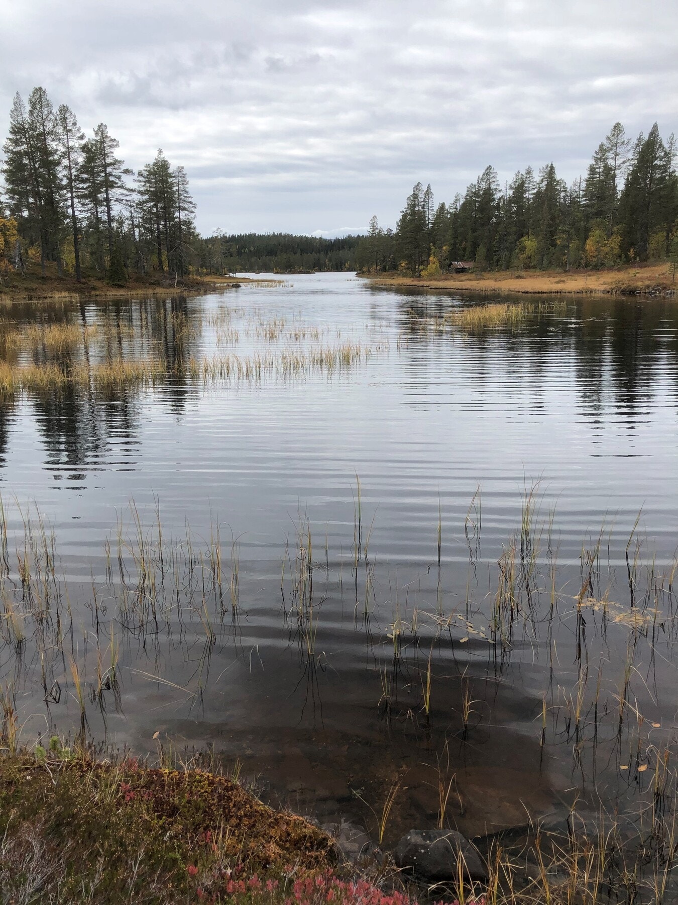 Buvatn i Trillemarka Galleribilde