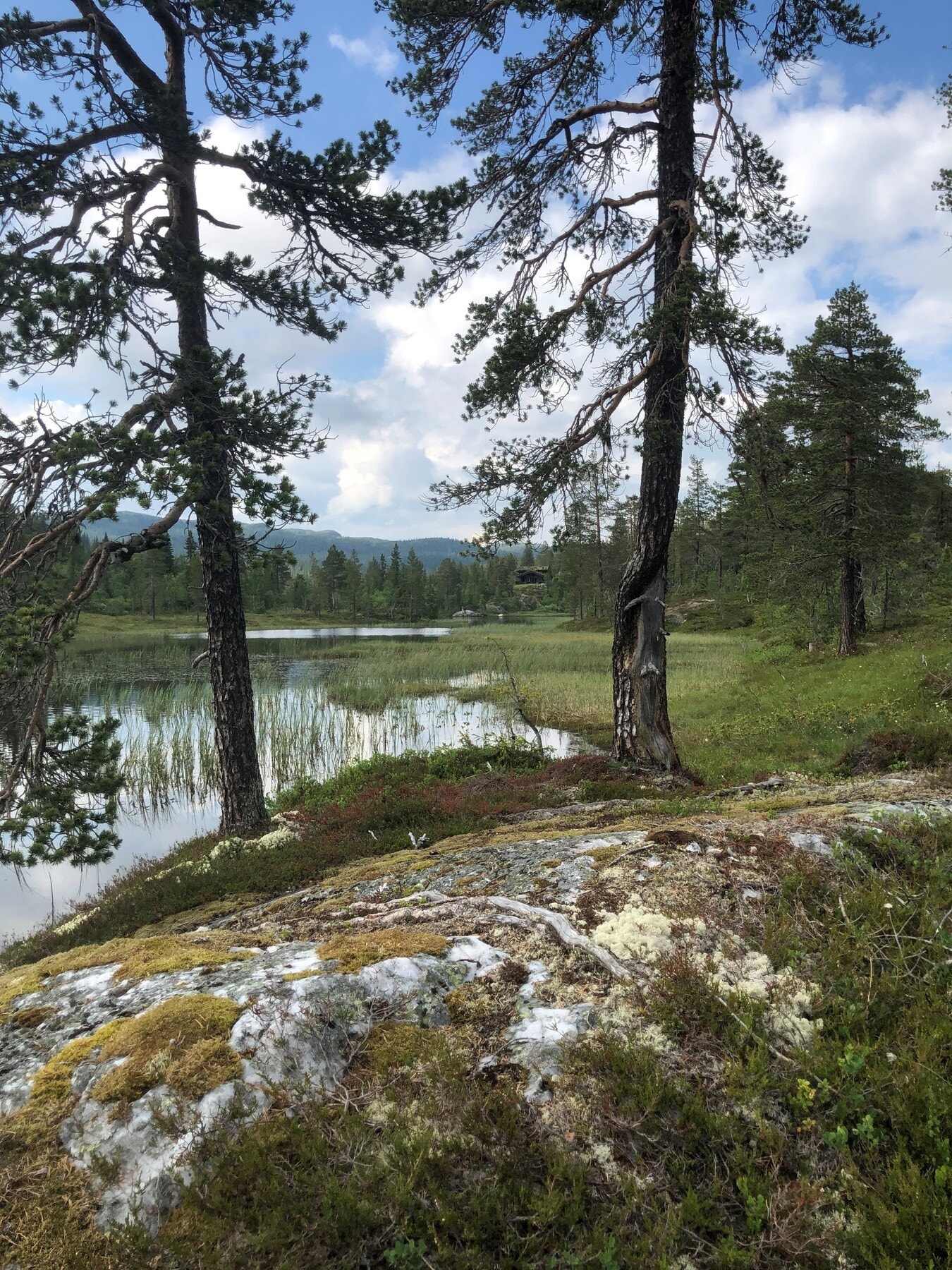 Rett nedenfor tomta, ved Breiløk Galleribilde