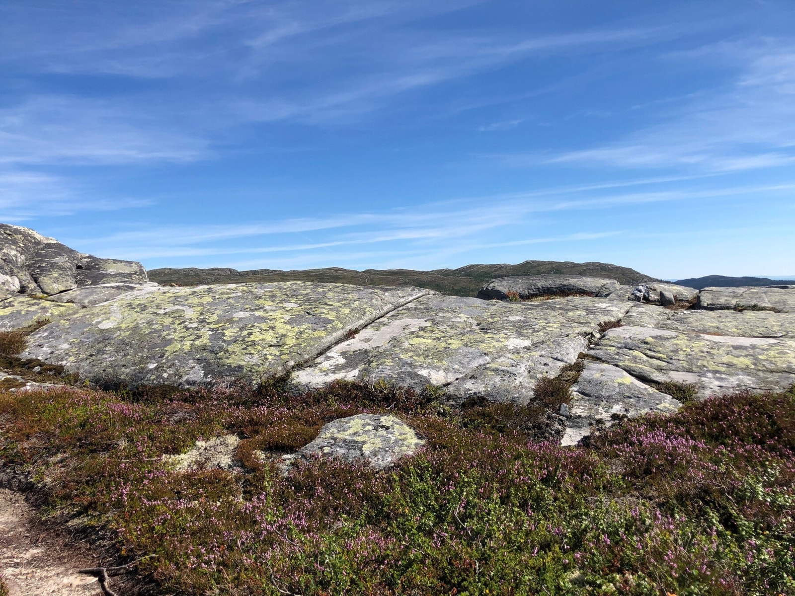 Fjell i nærområdet, flott turterreng Galleribilde