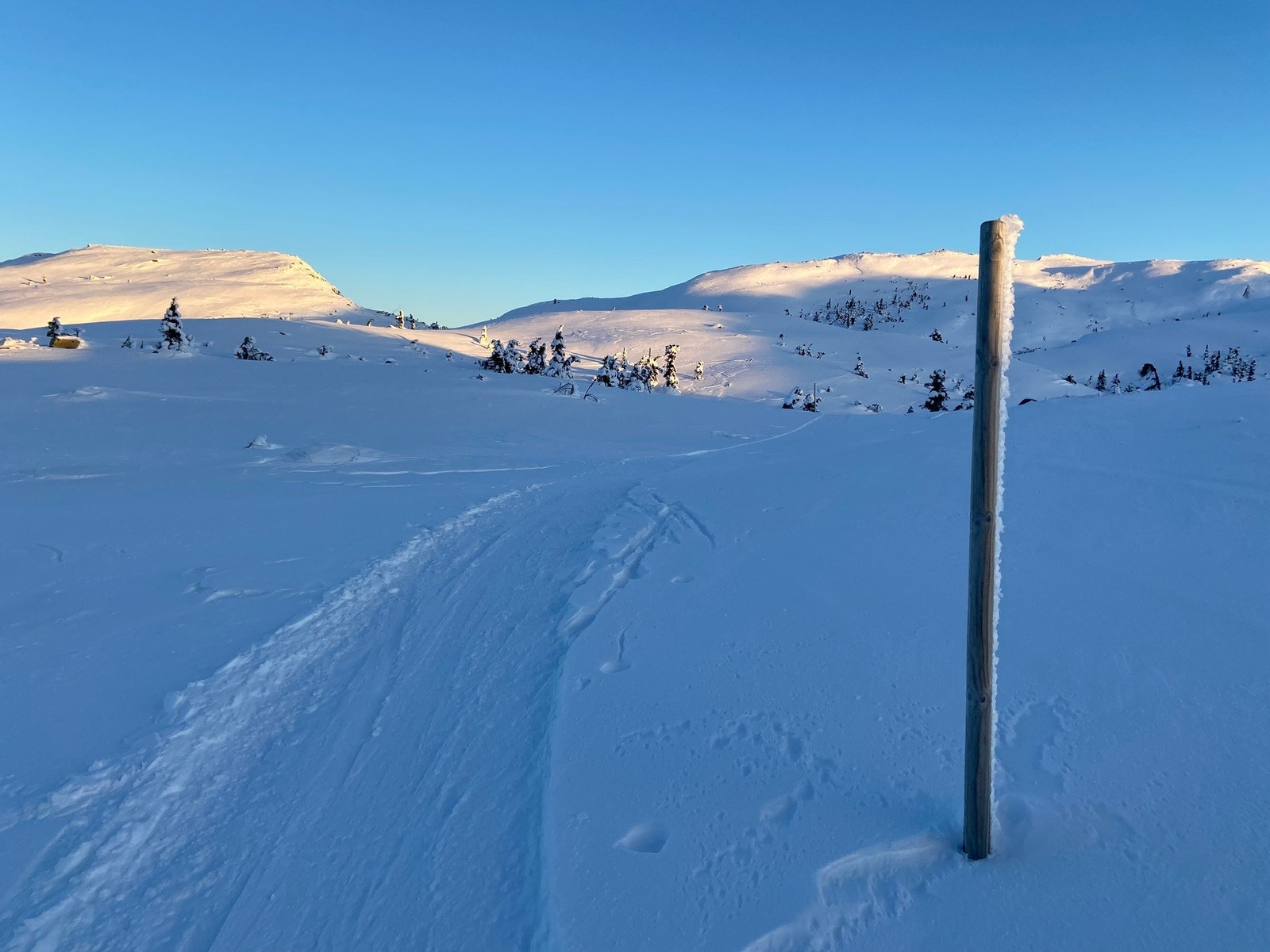 Mot Søtelifjell Galleribilde