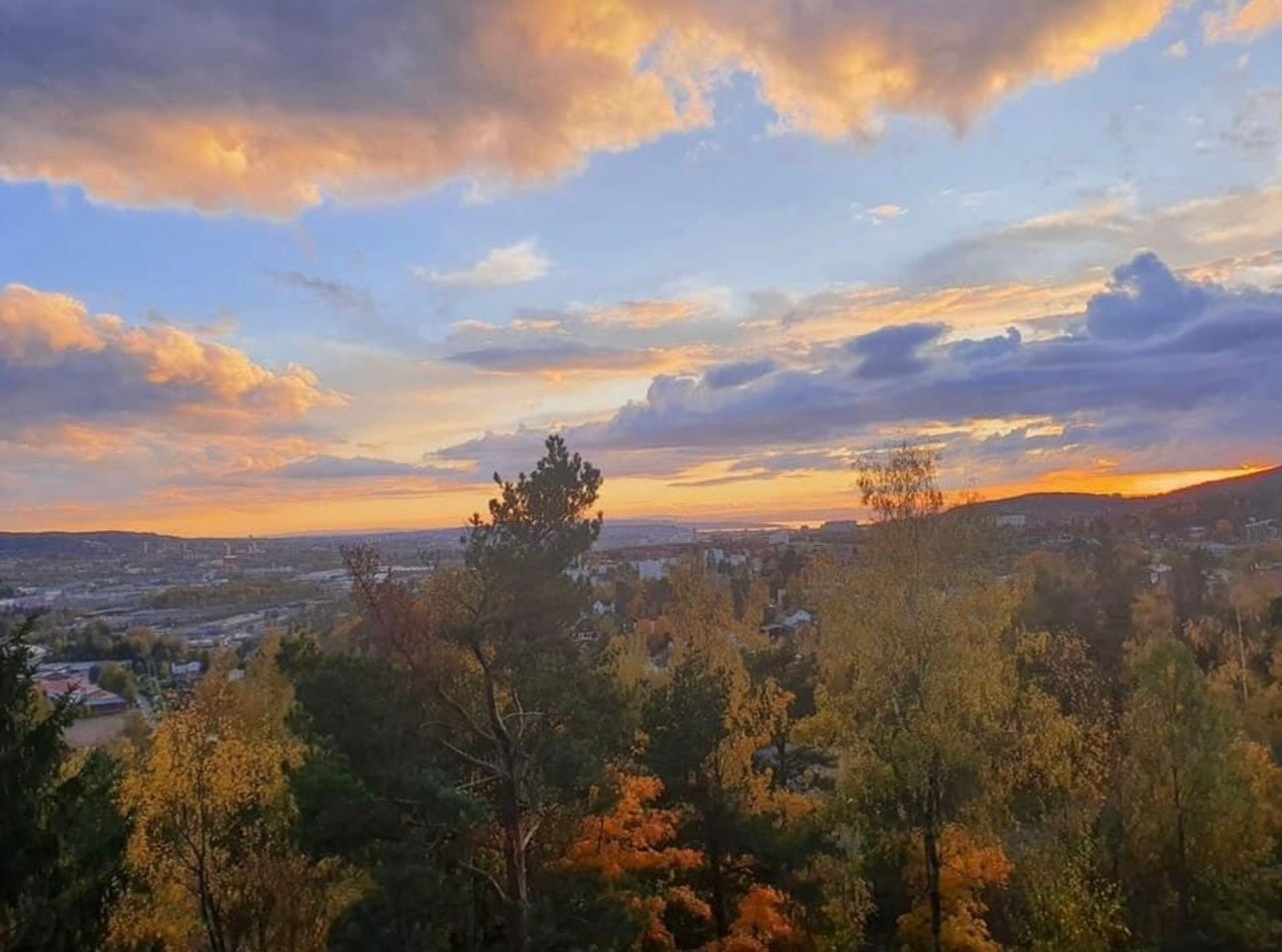 Selgers bilde. Utsikt fra balkongen. Galleribilde