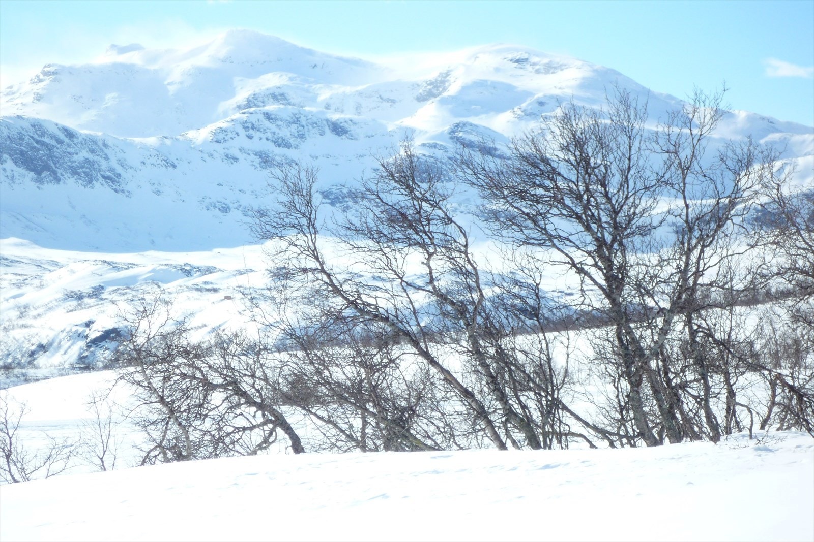 Mugnetind kan nytes både sommer og vinter. Galleribilde