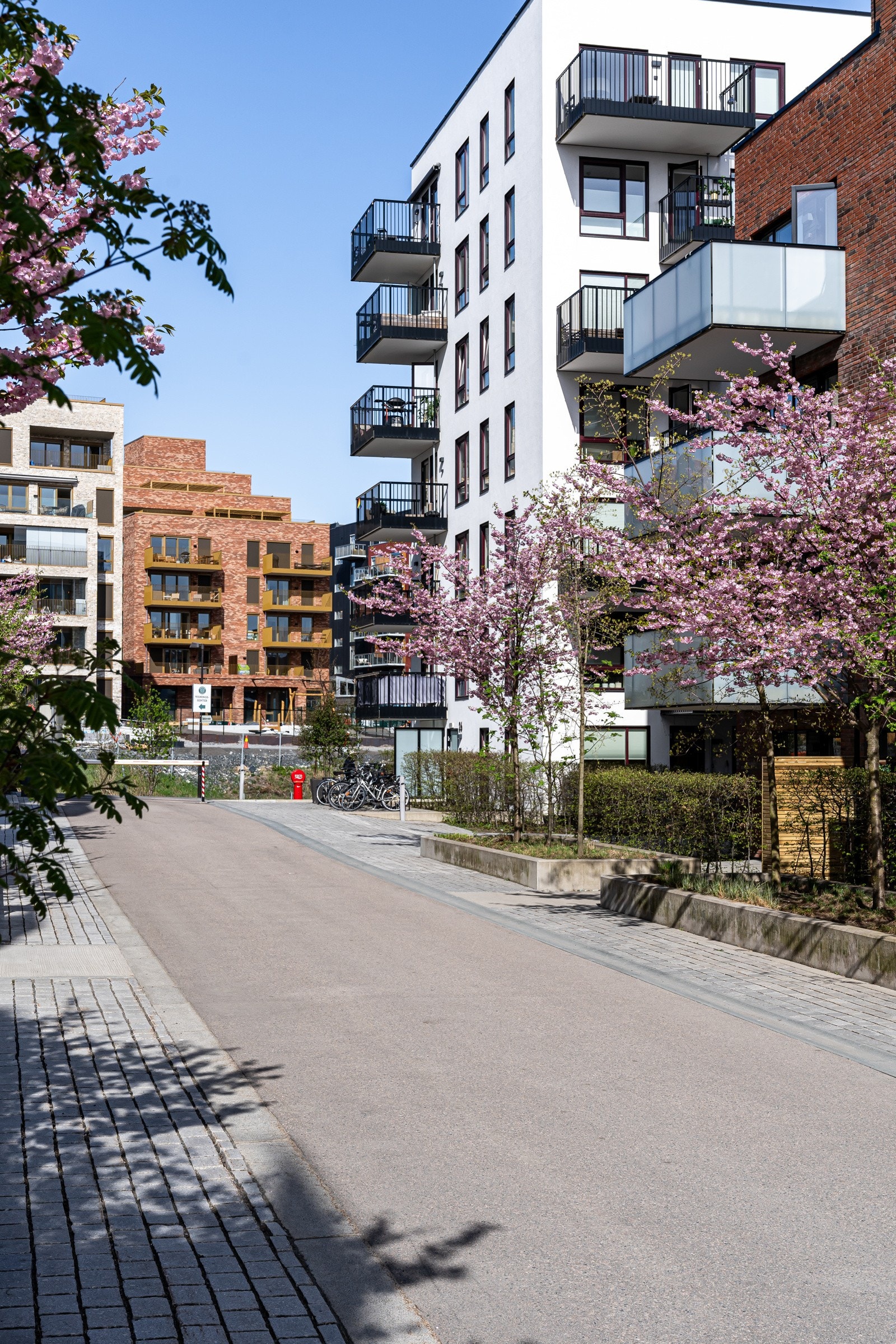Det er virkelig et vakkert sted å bo. Galleribilde