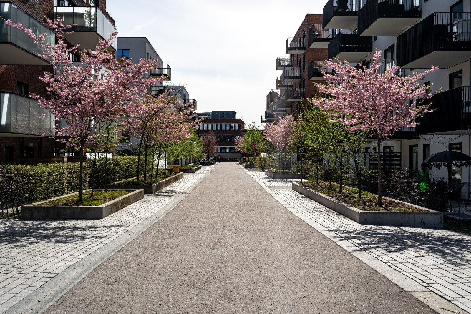 Parkmessige beplantninger. Galleribilde