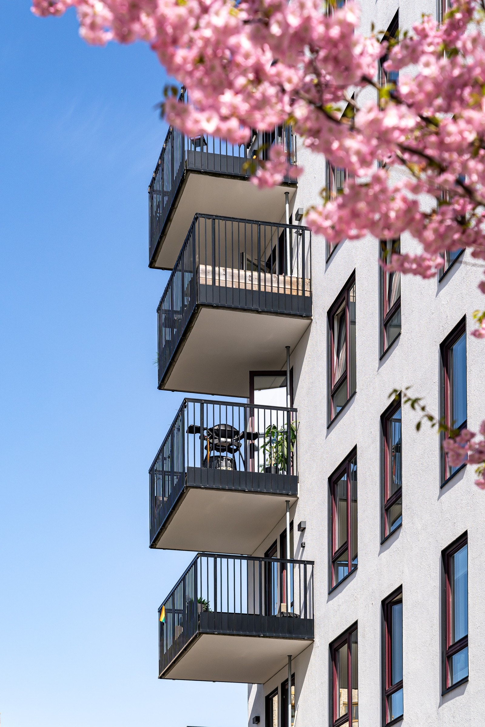 På denne tiden av året blomstrer de nydelige kirsebærtrærne som omkranser borettslaget og kan nytes fra leilighetens balkong. Galleribilde