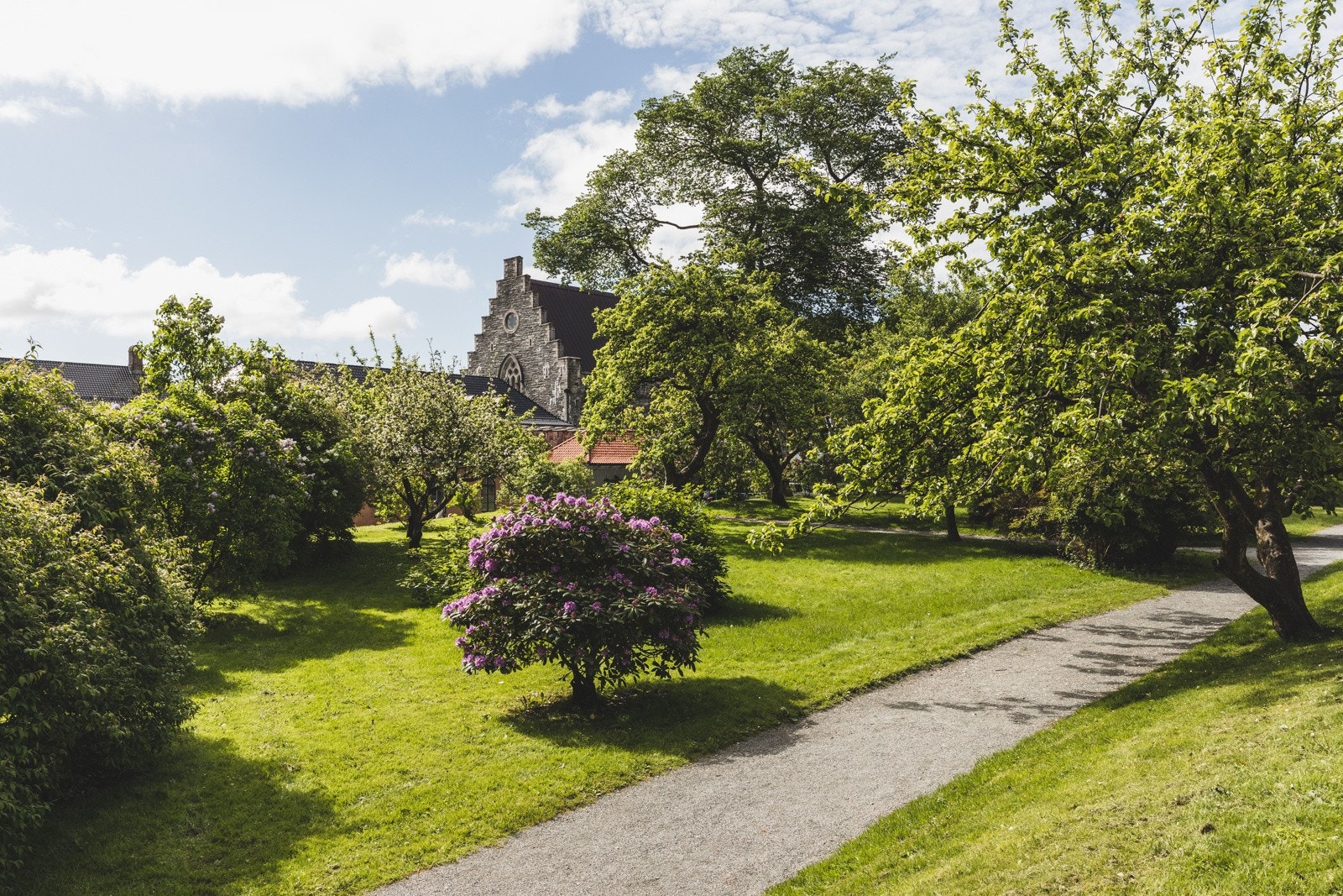 Koengen er like i nærheten! Galleribilde