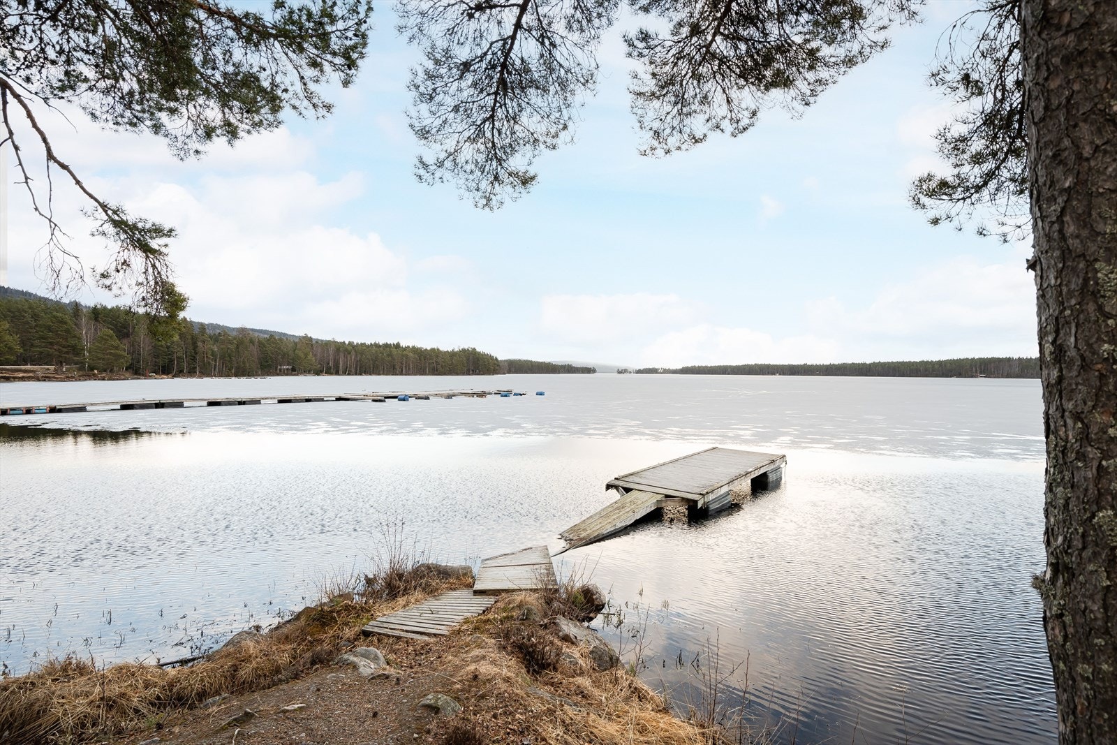 Nærområdet. Galleribilde