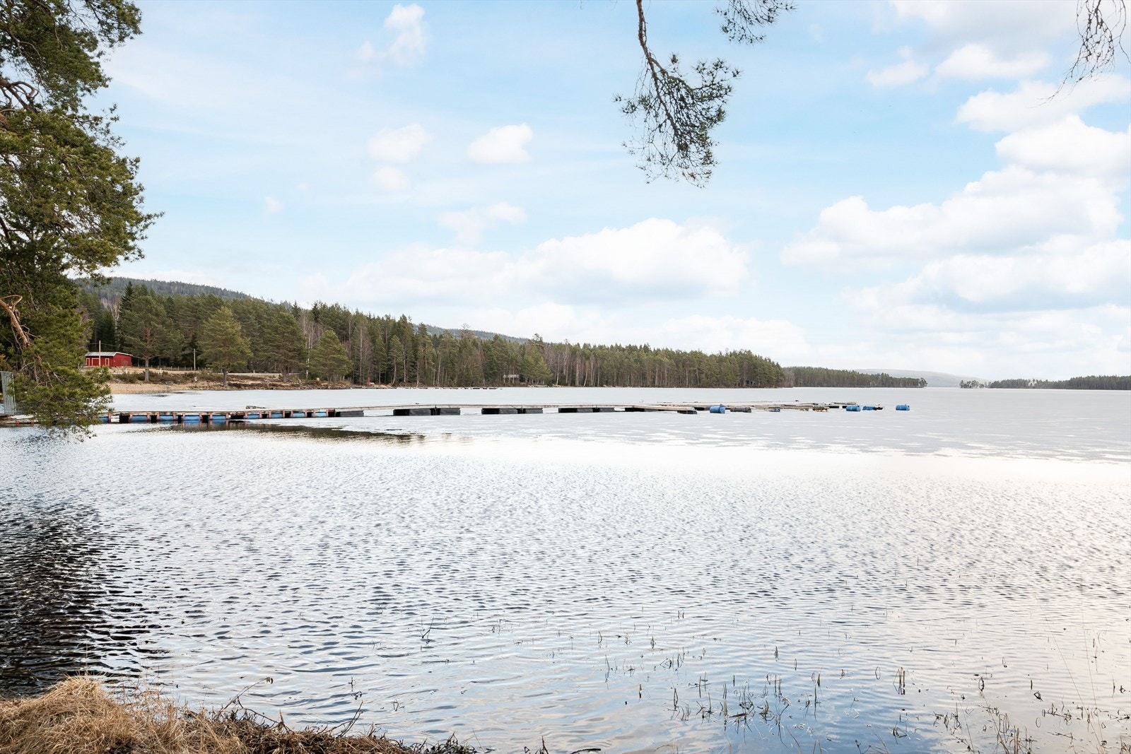 Nærområdet. Galleribilde