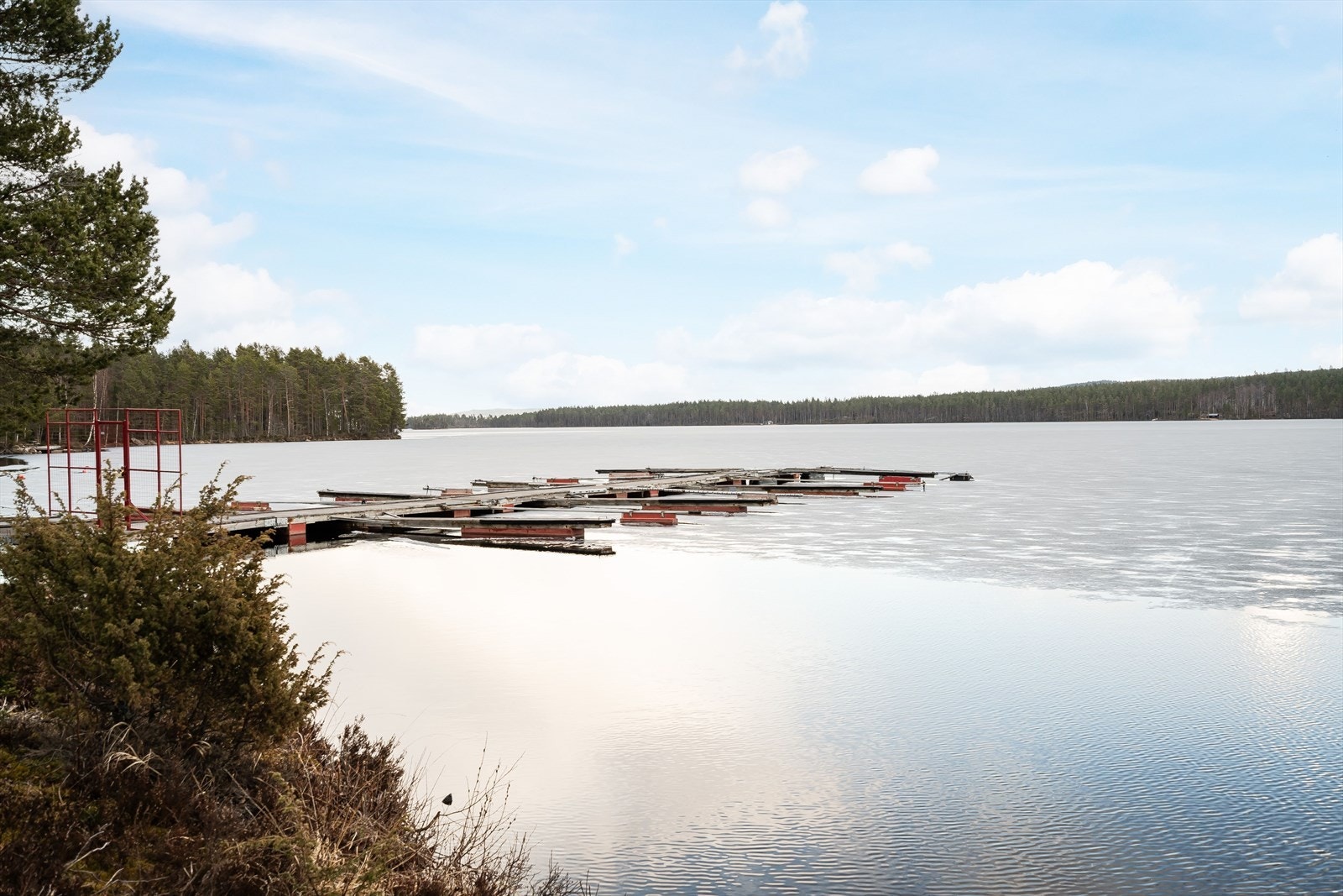 Nærområdet. Galleribilde