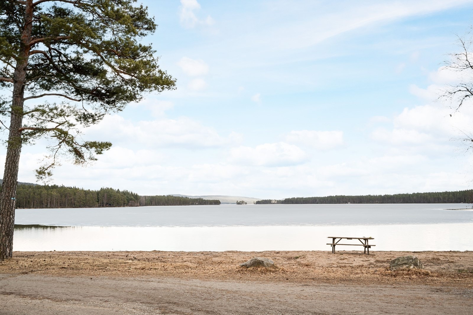 Nærområdet. Galleribilde