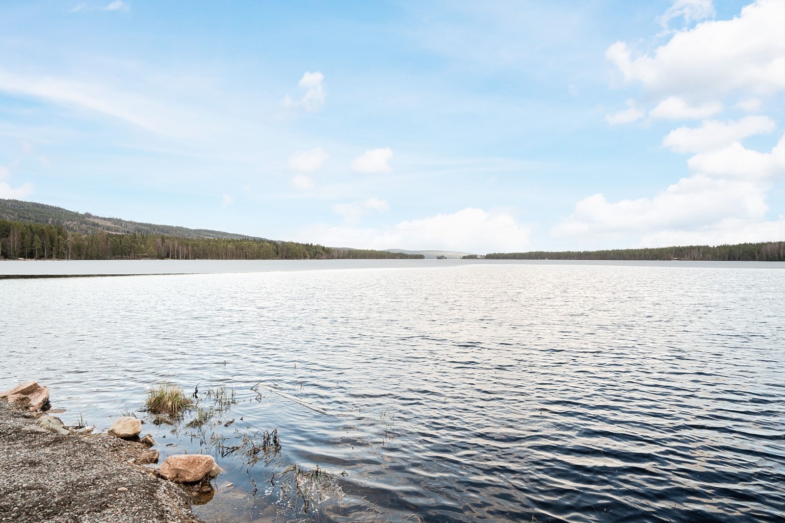 Nærområdet. Galleribilde