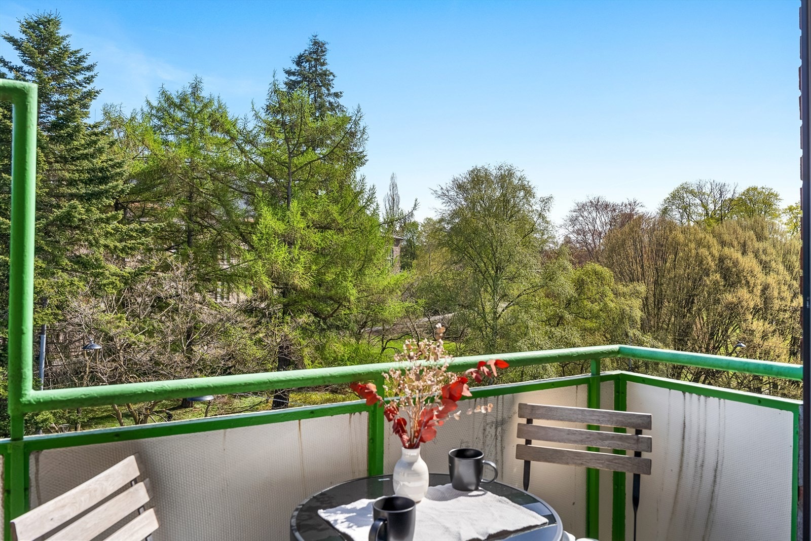 Flott utsikt mot Botanisk hage. Galleribilde