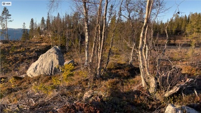 Bilde av tomteområdet (selgers bilde) Galleribilde
